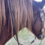 Rédea dupla trançada de Tambor 16mm