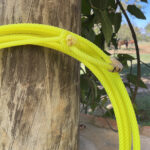 Laço de Pé Yellowstone