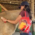 KIT de Limpeza INSTEP