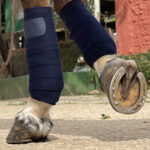 Liga de Trabalho Premium