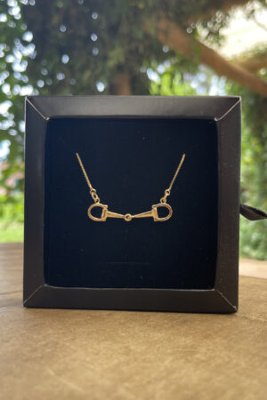 Colar Veneziana 45cm Pingente Bridão Folheado a Ouro 18k