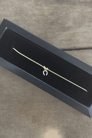 Pulseira Rabo de Rato de 21cm Pingente de Ferradura Cravejada Z.Cristal