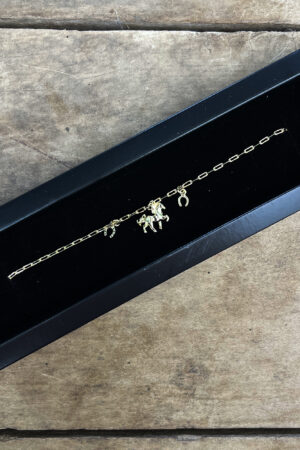 Pulseira Cartier 21cm com Pingentes Ferraduras Resinadas/Cavalo