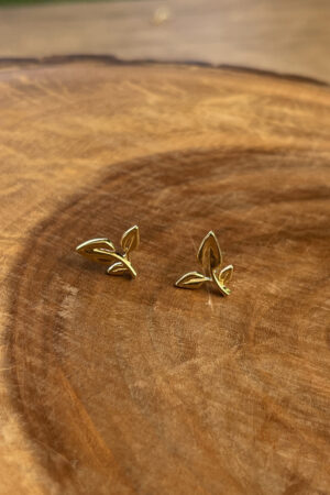 Brinco Broto de Soja Folheado a Ouro 18k