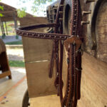 Cabeçada com testeira afogador com grampos, engate rápido