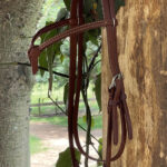 Cabeçada com testeira e afogador