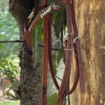 Cabeçada testeira/afogador detalhe em Nó e Margaridas