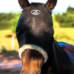 Máscara Anti-Mosca Tela Preta