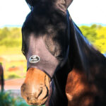 Máscara Anti-Mosca Lycra Preta Tam. G