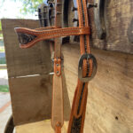 Cabeçada com testeira bordada colorida