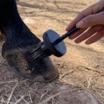 Porta Graxa para Casco com Pincel