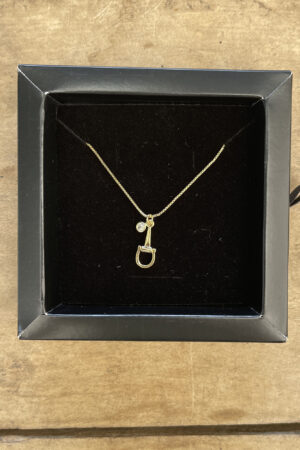 Colar Veneziana 45cm Pingente Bridão com Ponto de Luz Folheado a Ouro 18 K