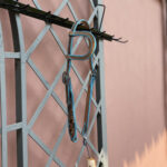 Cabeçada 01 Orelha Azul