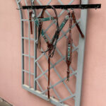 Cabeçada e Peiteira + Levantador com Miçangas Verde Bandeira