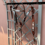 Cabeçada e Peiteira + Levantador com Miçangas Branco