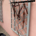 Cabeçada e Peiteira + Levantador com Miçangas Vinho