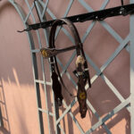 Cabeçada com Testeira e Afogador Bordada Pintada em Amarelo com Fivela Importada