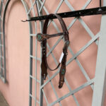 Cabeçada com Testeira e Afogador Bordada Pintada em Verde Água com Fivela Importada