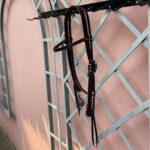 Cabeçada com Testeira com Crina e Afogador