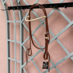 Cabeçada com Testeira Reta Inervada com Afogador e Botão Marrom