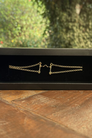 Pulseira Elo Portuguesa Duplo 21cm com Pingente Freio Resinado Foleado a Ouro 18k