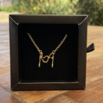 Colar Elo Português 45cm com Pingente Freio Resinado Folheado a Ouro 18k