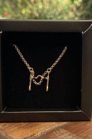 Colar Elo Português 45cm com Pingente Freio Resinado Folheado a Ouro 18k
