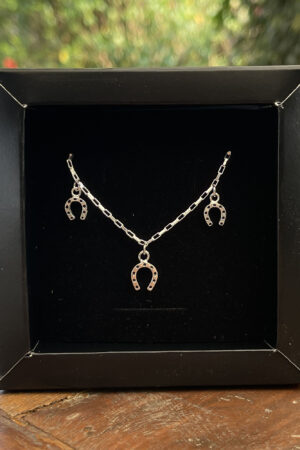 Colar Chocker 37cm com Ferraduras Resinadas Prata 925