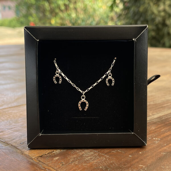 Colar Chocker 37cm com Ferraduras Resinadas Prata 925 - Imagem 1