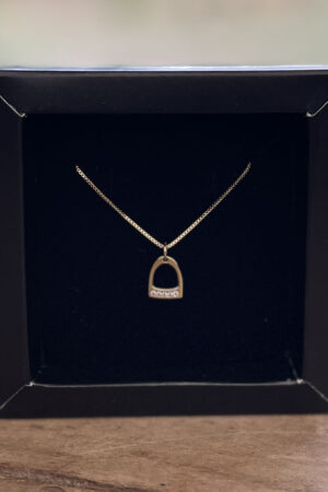 Colar Veneziana 45cm Pingente Estribo Crav. Z. Cristal Folheado a Ouro 18k