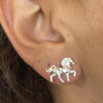 Brinco Fixo de Cavalo Prata 925