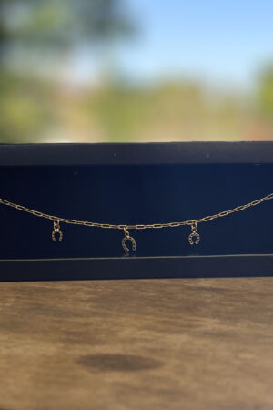 Pulseira Cartier 21cm com Pingentes Ferraduras Resinadas Folheado a Ouro 18k