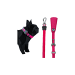 Guia Comfort + Coleira para Cachorro Tam. M - Magenta