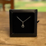 Colar Veneziana 45cm Pingente Ferradura Cravejada Prata 925