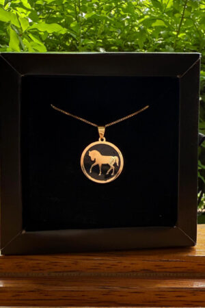 Colar Veneziana 45cm Pingente Chapinha Cavalo resinado Folheado a Ouro 18k