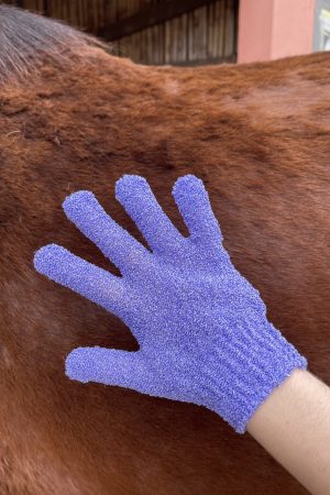 Par de Luvas Esfoliante para Banho Roxo