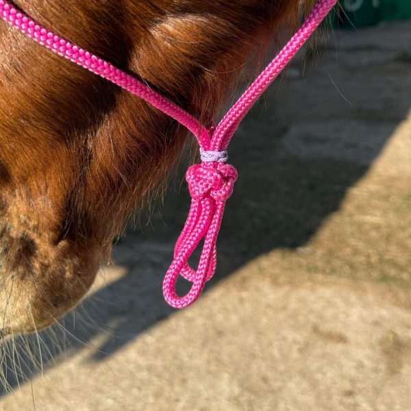 Cabresto UC Manejo cor:Rosa Com Detalhes em Lilás - Imagem 5