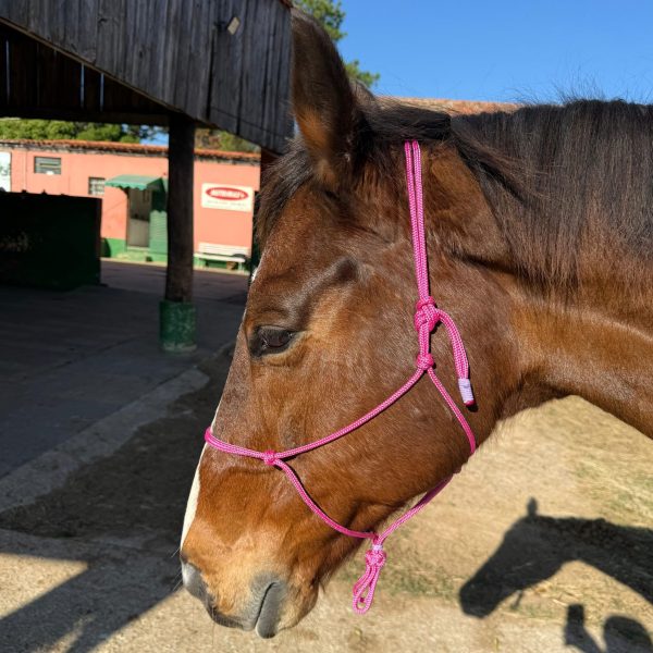 Cabresto UC Manejo cor:Rosa Com Detalhes em Lilás - Imagem 2