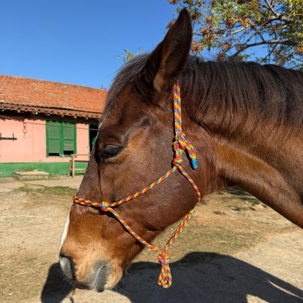 Cabresto UC Manejo cor:Colorido Azul, Vermelho, Laranja, Amarelo - Imagem 2