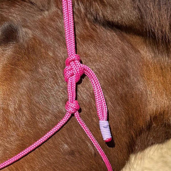 Cabresto UC Manejo cor:Rosa Com Detalhes em Lilás - Imagem 4