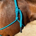 Cabresto UC Manejo cor:Azul Turquesa - Imagem 4