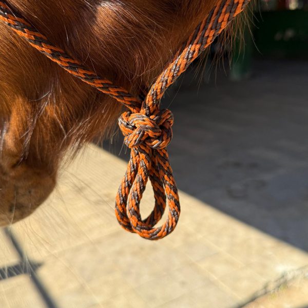Cabresto UC Manejo cor:Laranja e Marrom - Imagem 5