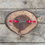 Barbela de Nylon Simples com Corrente Cor:Vermelho