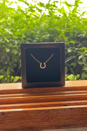 Colar Elo Português 45cm com Pingente de Ferradura Folheado a Ouro 18k