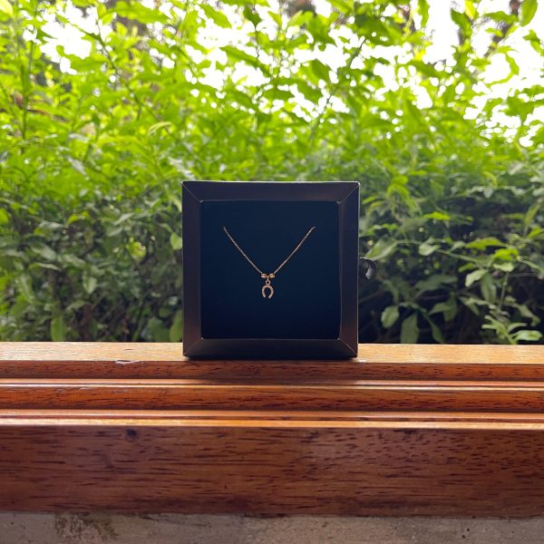 Colar veneziana 45cm Pingente Ferradura Cravejada Folheado a Ouro 18K - Imagem 1
