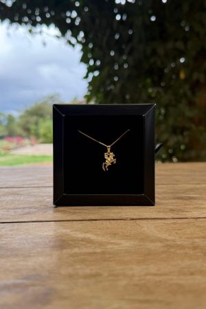 Colar Veneziana Cowgirl Folheado a Ouro 18k