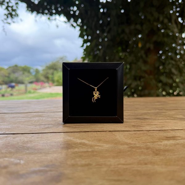Colar Veneziana Cowgirl Folheado a Ouro 18k - Imagem 1