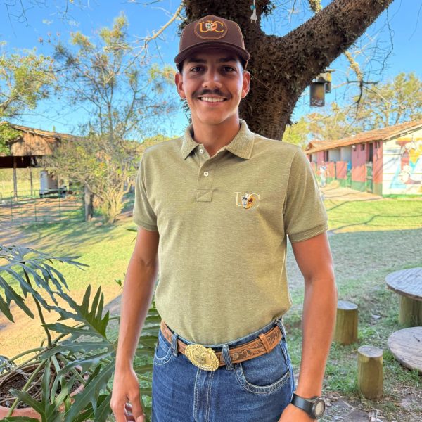 Polo Masculina UC Verde Estonado - Imagem 1