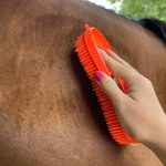 Escova para Pelo Mágica Multiuso AM Ferramentas cor:Laranja