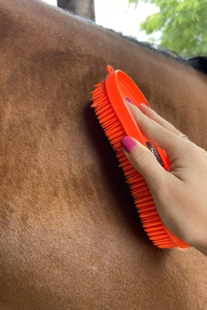 Escova para Pelo Mágica Multiuso AM Ferramentas cor:Laranja